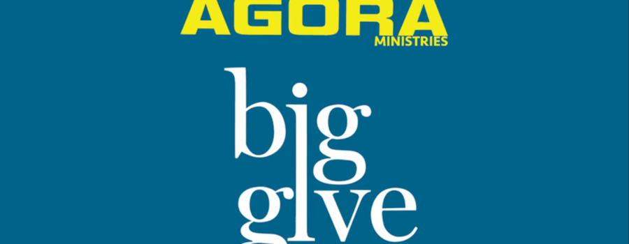 Big Give 2017