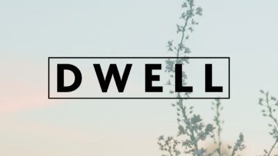 Curso DWELL Shared Values